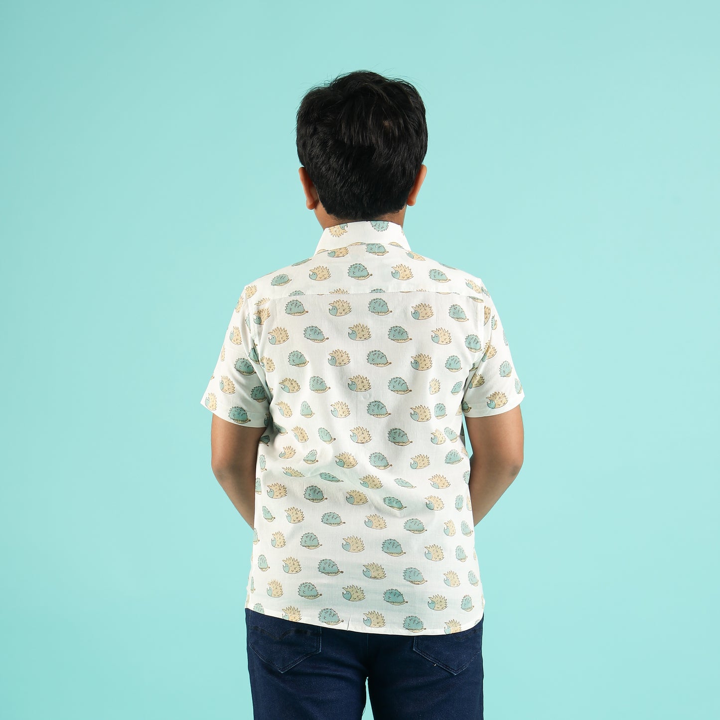 Snail Stroll Design Hand Block Printed Cotton Half Sleeve Shirt for Boys – Sanganeri Kids Wear