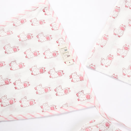 Newborn Jhabla Set - Cute Owl Hand Block Print